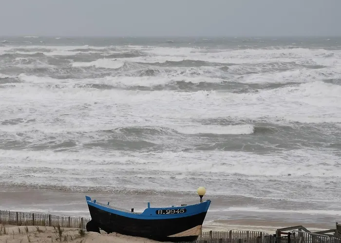 Baie * Berck